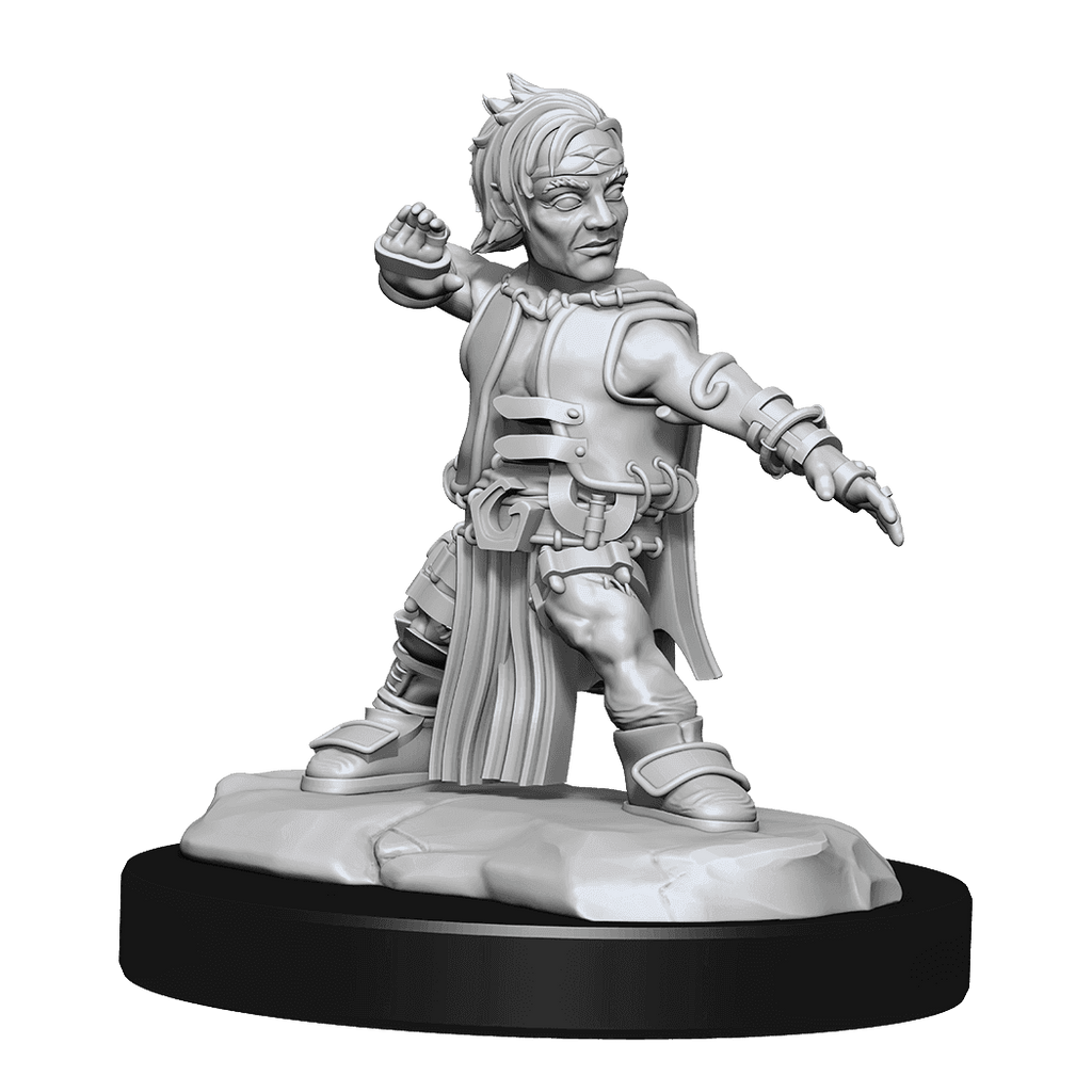 Pathfinder: Deep Cuts - Halfing Monk Male - 
