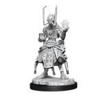 Starfinder: Deep Cuts - Shirren Technomancer - 