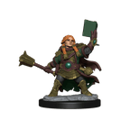 D&D: Frameworks - Dwarf Cleric Female - 