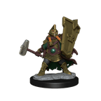 D&D: Frameworks - Dwarf Cleric Female - 