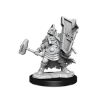 D&D: Frameworks - Dwarf Cleric Female - 