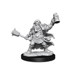 D&D: Frameworks - Dwarf Cleric Female - 