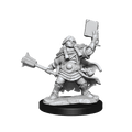 D&D: Frameworks - Dwarf Cleric Female - 