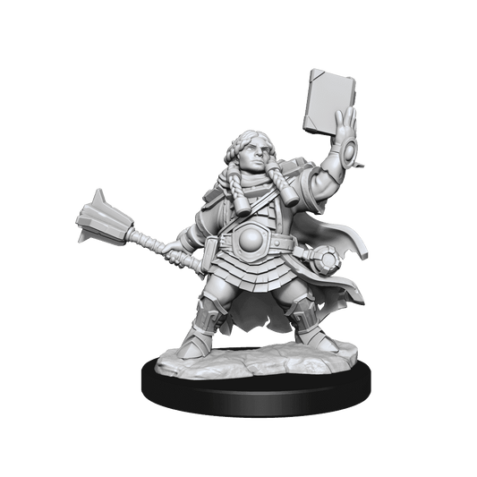D&D: Frameworks - Dwarf Cleric Female - 