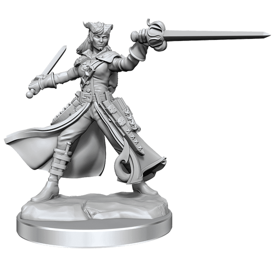 D&D: Frameworks - Tiefling Rogue Female - 