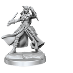 D&D: Frameworks - Tiefling Rogue Female - 