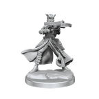 D&D: Frameworks - Tiefling Rogue Female - 