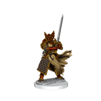 D&D: Frameworks - Dragonborn Paladin Male - 