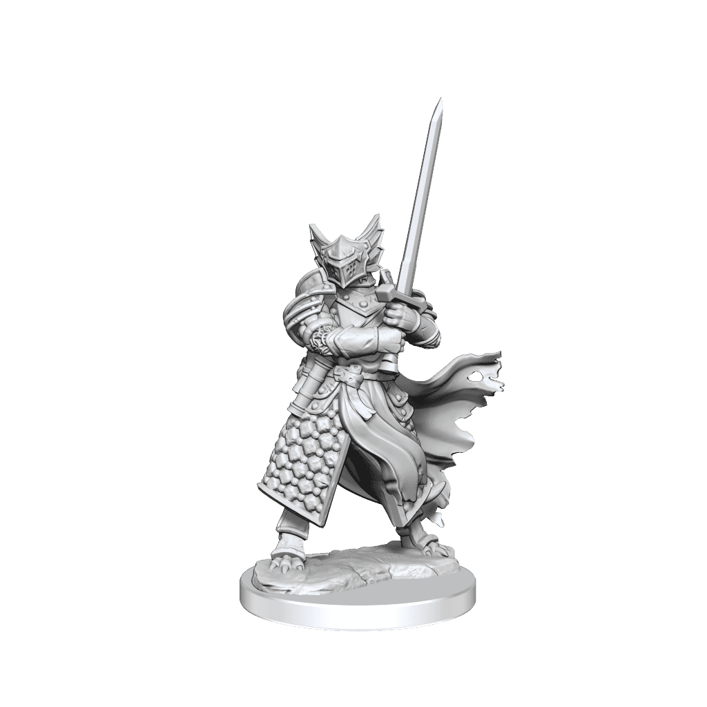 D&D: Frameworks - Dragonborn Paladin Male - 
