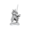 D&D: Frameworks - Dragonborn Paladin Male - 