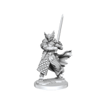 D&D: Frameworks - Dragonborn Paladin Male - 