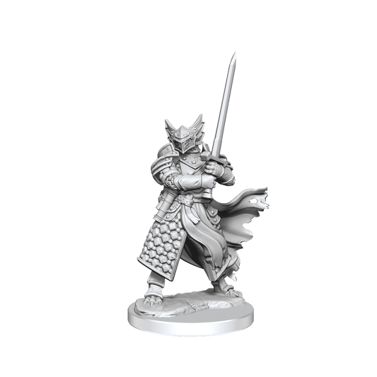 D&D: Frameworks - Dragonborn Paladin Male - 