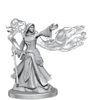 D&D: Frameworks - Elf Wizard Female - 