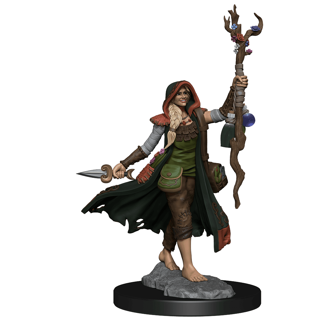 D&D: Frameworks - Human Druid Female - 