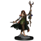 D&D: Frameworks - Human Druid Female - 