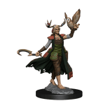 D&D: Frameworks - Human Druid Female - 