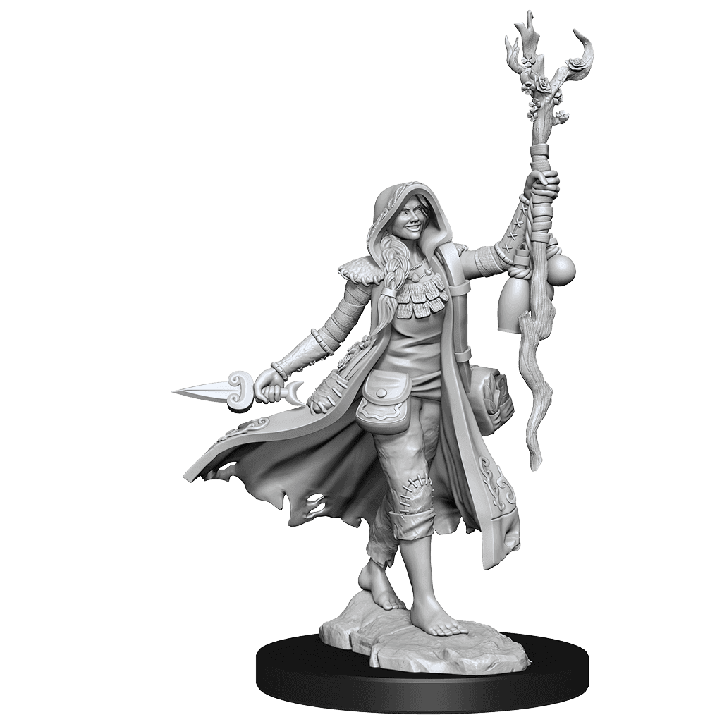 D&D: Frameworks - Human Druid Female - 