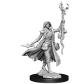 D&D: Frameworks - Human Druid Female - 