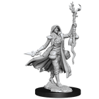 D&D: Frameworks - Human Druid Female - 