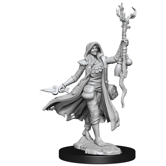 D&D: Frameworks - Human Druid Female - 