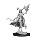 D&D: Frameworks - Human Druid Female - 