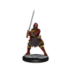 D&D: Frameworks - Human Fighter Female - 