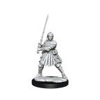 D&D: Frameworks - Human Fighter Female - 