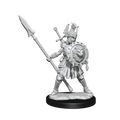 D&D: Frameworks - Human Fighter Female - 