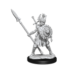 D&D: Frameworks - Human Fighter Female - 