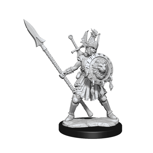 D&D: Frameworks - Human Fighter Female - 