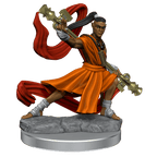 D&D: Frameworks - Elf Monk Male - 