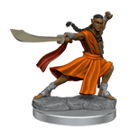 D&D: Frameworks - Elf Monk Male - 