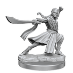 D&D: Frameworks - Elf Monk Male - 