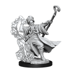 D&D: Frameworks - Human Wizard Male - 