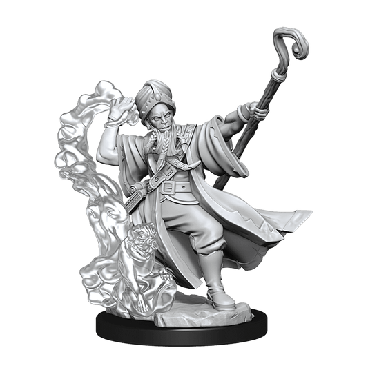 D&D: Frameworks - Human Wizard Male - 