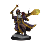 D&D: Frameworks - Human Wizard Male - 
