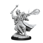 D&D: Frameworks - Human Wizard Male - 