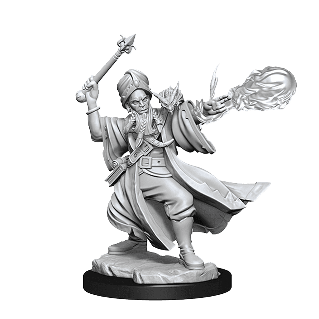 D&D: Frameworks - Human Wizard Male - 