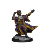 D&D: Frameworks - Human Wizard Male - 