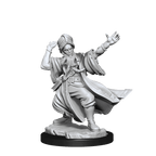 D&D: Frameworks - Human Wizard Male - 