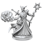 D&D: Frameworks - Tiefling Warlock Male - 