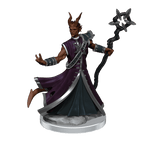 D&D: Frameworks - Tiefling Warlock Male - 
