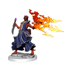 D&D: Frameworks - Dragonborn Sorcerer Female - 