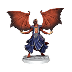 D&D: Frameworks - Dragonborn Sorcerer Female - 