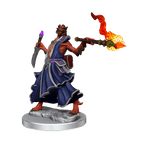 D&D: Frameworks - Dragonborn Sorcerer Female - 