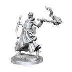 D&D: Frameworks - Dragonborn Sorcerer Female - 