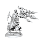 D&D: Frameworks - Dragonborn Sorcerer Female - 