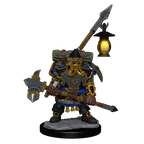 D&D: Frameworks - Dwarf Fighter Male - 