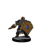 D&D: Frameworks - Dwarf Fighter Male - 