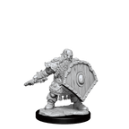 D&D: Frameworks - Dwarf Fighter Male - 